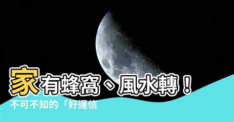 行為風水|【行為風水】行為風水知多少？揭秘您不可不知的環境與行為密。